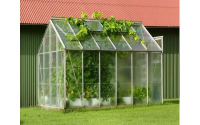 داستان موفقیت در احداث گلخانه 